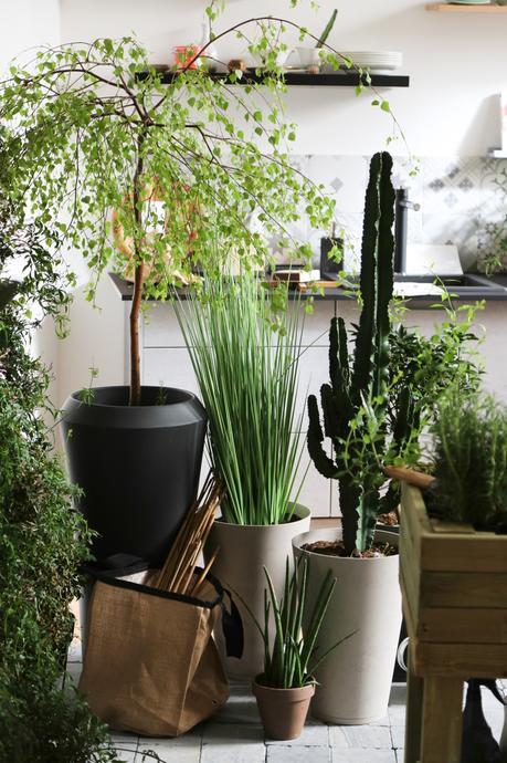 Chez moY, l'appartement design de Leroy Merlin