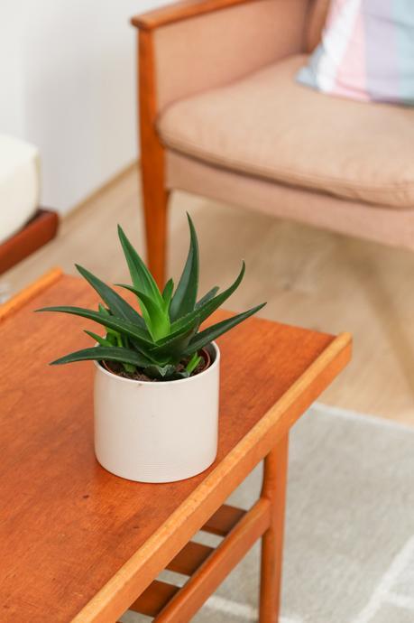 Chez moY, l'appartement design de Leroy Merlin