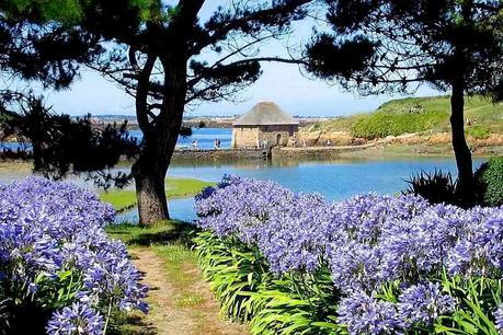 Hisse et Ho t1, Le phare mystérieux, d’Anne Loyer Hisse et Ho t1, Le phare mystérieux, d’Anne Loyer