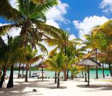 Aux origines du miracle de l’île Maurice !