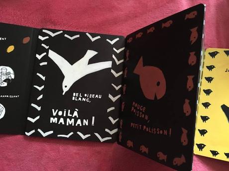 Dans sa bibliothèque