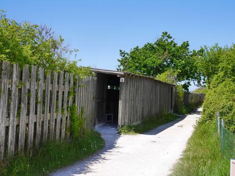La réserve ornithologique du Teich, sur le Bassin d’Arcachon (33)
