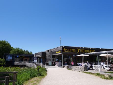 La réserve ornithologique du Teich, sur le Bassin d’Arcachon (33)
