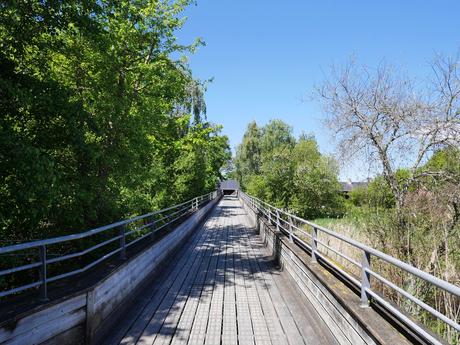 La réserve ornithologique du Teich, sur le Bassin d’Arcachon (33)