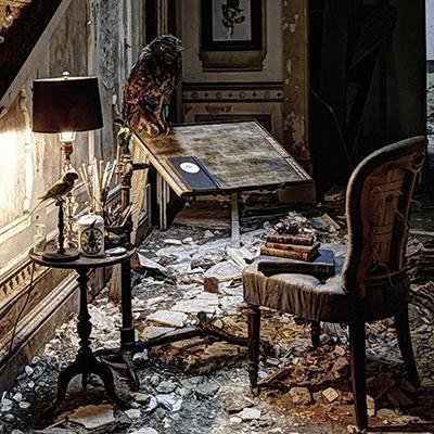 Bureau façon cabinet de curiosité décoré par Rory Dobner, un bureau pupitre, une chouette, chaise/fauteuil ancien 