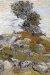 1888, Vincent van Gogh : Les rochers avec chêne, juillet