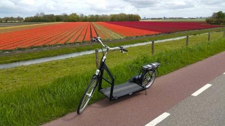 Lopifit-5-tt-width-620-height-349-lazyload-0-crop-1-bgcolor-000000-except_gif-1-qazy-1-nolayzr-1