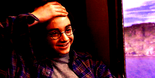 2997958915_1_3_YaYzu7oy