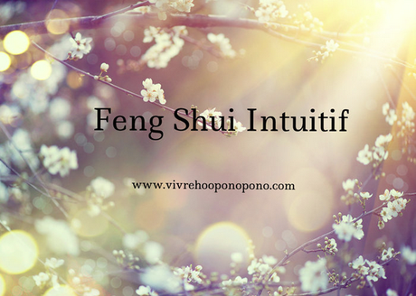 Feng-shui-intuitif-bodin-lamboy