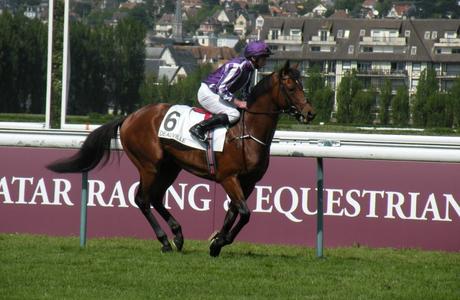 Poule d'Essai des Poulains