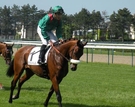 Poule d'Essai des Poulains