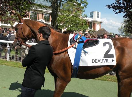 Poule d'Essai des Poulains
