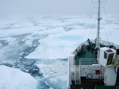 la limite de la banquise arctique est déjà très au nord du Svalbard - Spitzberg