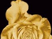 agendas novice Tara sortira