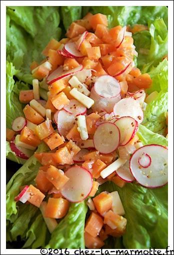 Mes recettes deviennent les vôtres 18 Saladeprintanière4