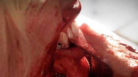 Eat-2014-movie-Jimmy-Weber-10