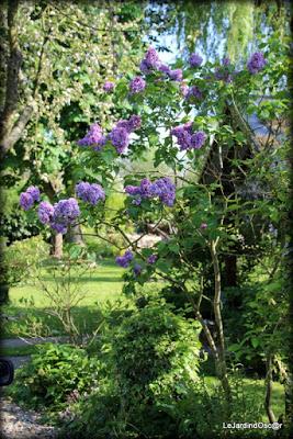 Palette de couleurs ...