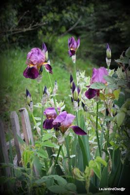 Palette de couleurs ...