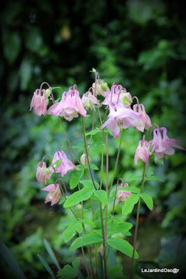 Palette de couleurs ...