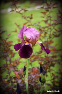 Palette de couleurs ...