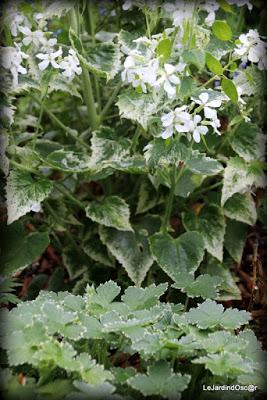 Palette de couleurs ...