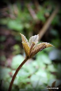 Palette de couleurs ...
