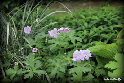 Palette de couleurs ...