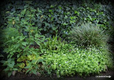 Palette de couleurs ...