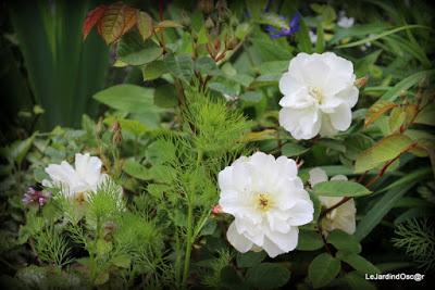 Palette de couleurs ...