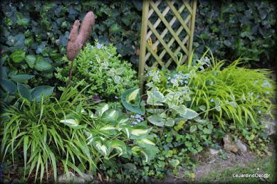 Palette de couleurs ...