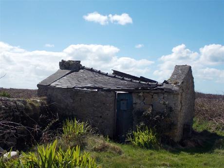 ce provisoire des merveilles