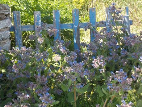 ce provisoire des merveilles