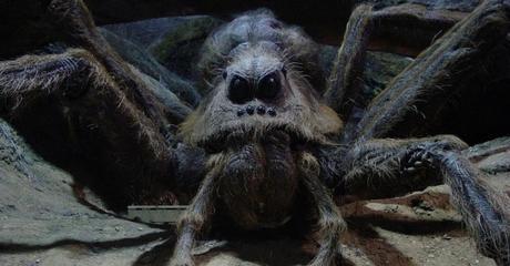 Ici il double l'araignée géante Aragog dans Harry Potter et la Chambre des Secrets.