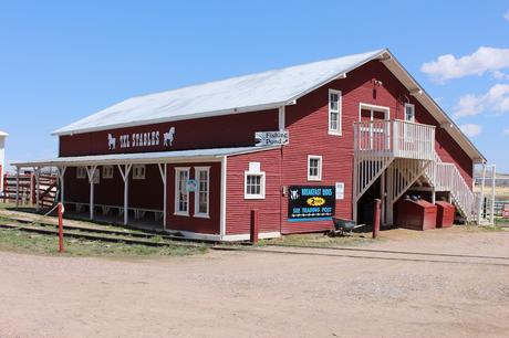 Envie #190 : Nourrir des bisons dans un ranch dans le Wyoming (USA) terry bison ranch usa wyoming