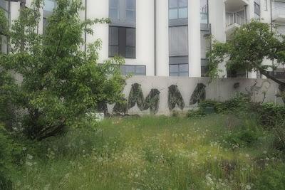 C'est l'histoire d'un verger