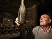 LIFESTYLE Bourgogne "Clos Lambrays" ruine renouveau, vignoble exceptionnel