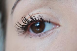 Macara Younique Fibre