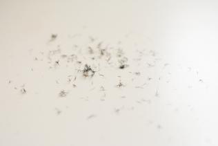 Fibre Mascara Younique