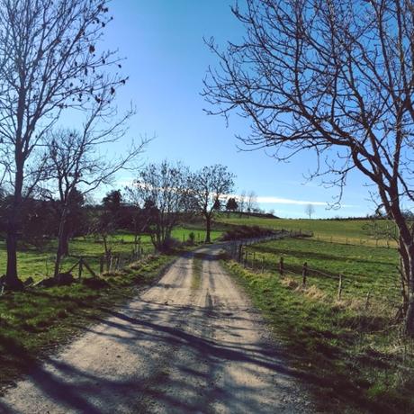 Forez Instagram, quelques photos 42