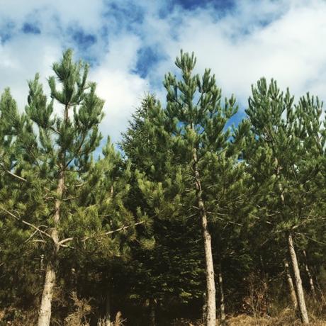 Forez Instagram, quelques photos 42