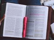 mémoire d'année, document profs liront