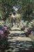 1902, Claude Monet : Jardin de Giverny