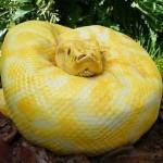 Petite revue du web du 8 août 2012