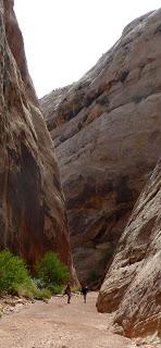 Un danger des Parc Nationaux ...