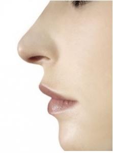 ÉVOLUTION: On connaît les gènes de la forme du nez! – Nature Communications