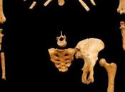 Yves Coppens: n'existe personnes blanches, seulement décolorées!"