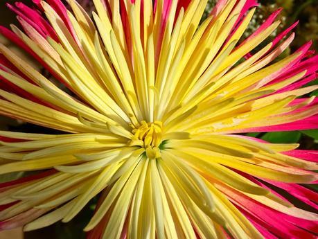 Photos de Apple: nouvelles astuces inédites Photos de Apple: nouvelles astuces inédites