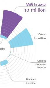 ANTIBIORÉSISTANCE: L'appel mondial à la résistance – Expertise
