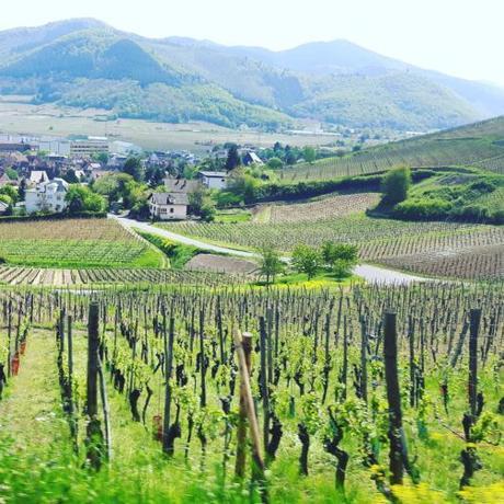 #Alsace : entre villages pittoresques et parc d’attractions