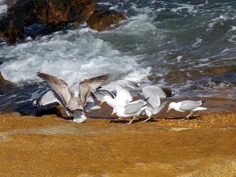 le monde et son mot de passe